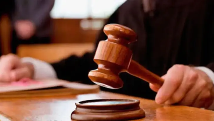 Alihan Kuriş'in kullandığı GSM hattının, zihinsel engelli bireye ait olduğu belirlendi