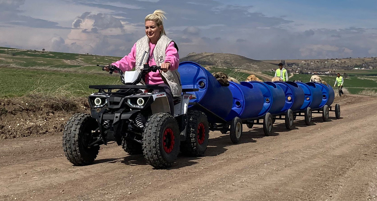 Ankara’da kira borcunu ödemeyen Yaşama Tutunan Patiler Derneği hakkında tahliye kararı