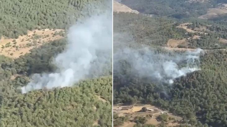 Balıkesir'de orman yangını alarmı! Havadan ve karadan müdahale başladı