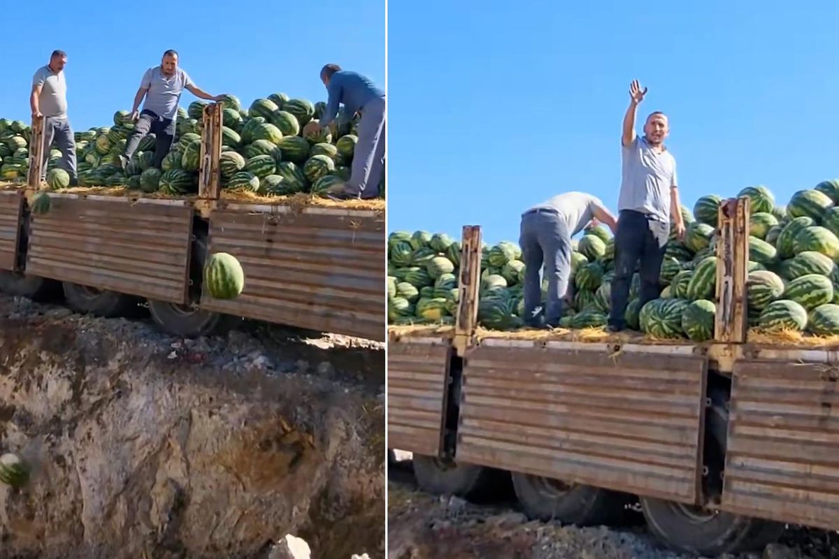 Görenlerin içi acıdı! Tonlarcası çöplüğe boşalttılar