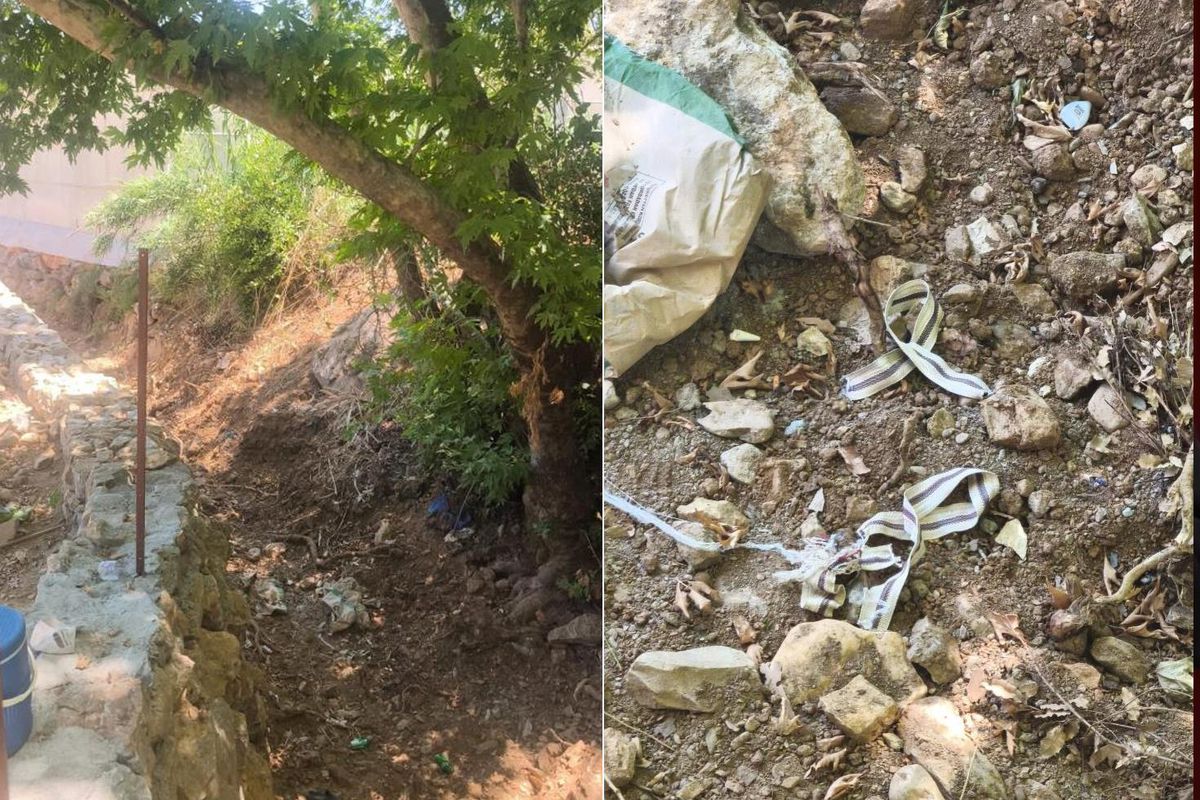 Jandarma son anda fark etti, bir hayat kurtuldu